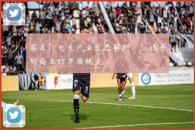 深度！电竞产业生态解析，从选手到商业的华丽蜕变